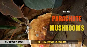 Can You Parachute Mushrooms? Exploring the Unusual Spore Dispersal Method