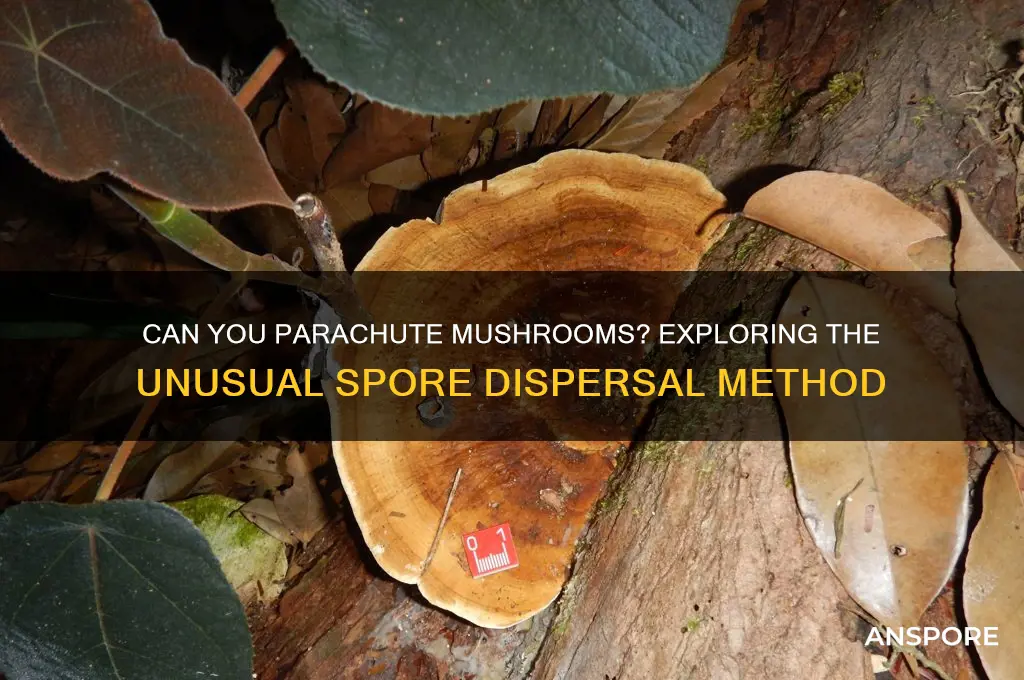 can you parachute mushrooms