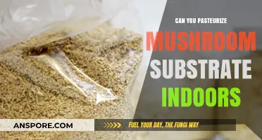 Indoor Pasteurization of Mushroom Substrate: A Practical Guide