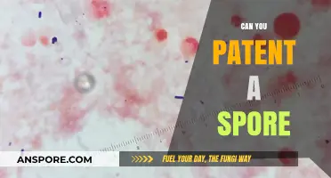 Can You Patent a Spore? Exploring Legal Boundaries in Microbiology