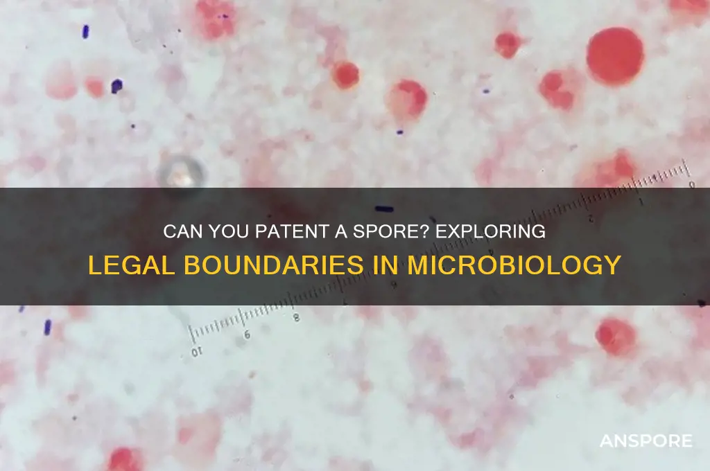 can you patent a spore