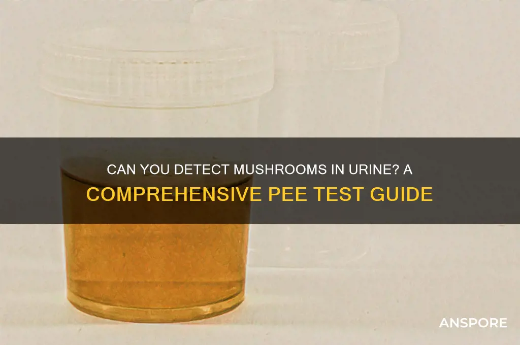 can you pee test for mushrooms