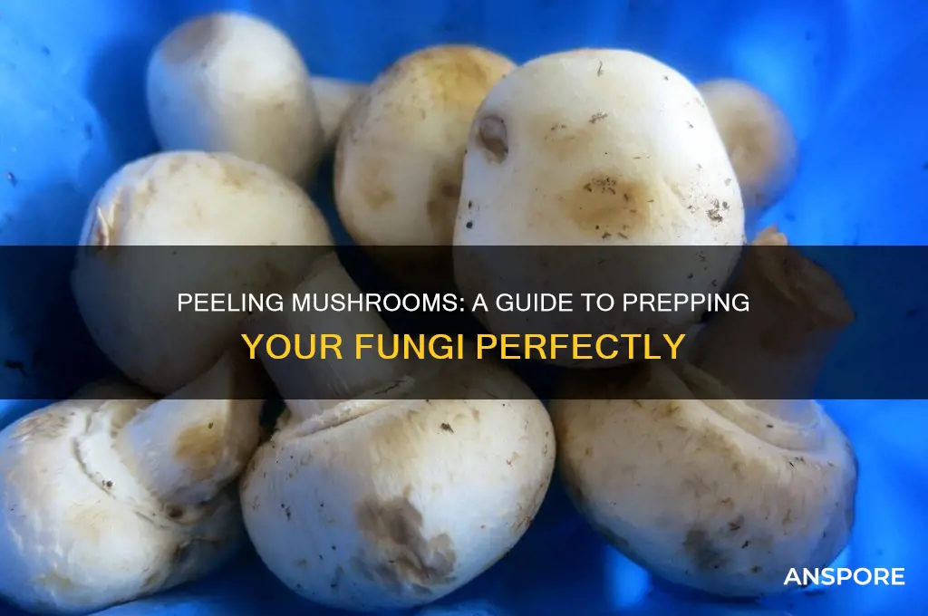 can you peel mushrooms