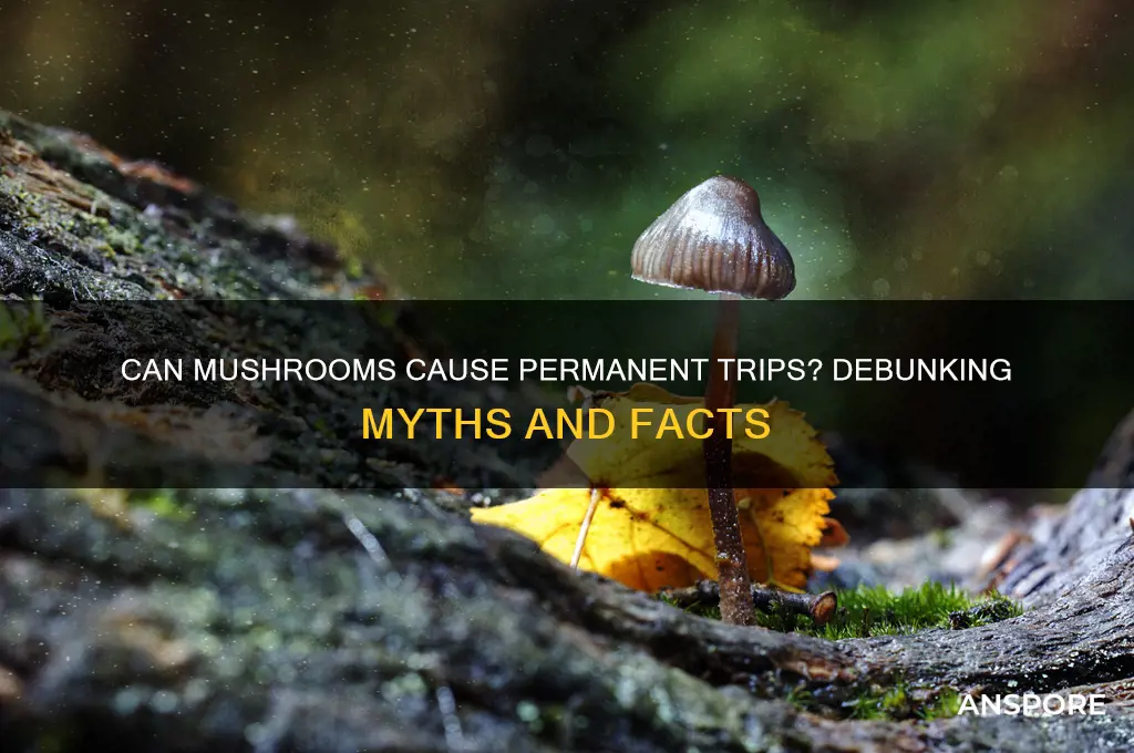 can you permanently trip off mushrooms