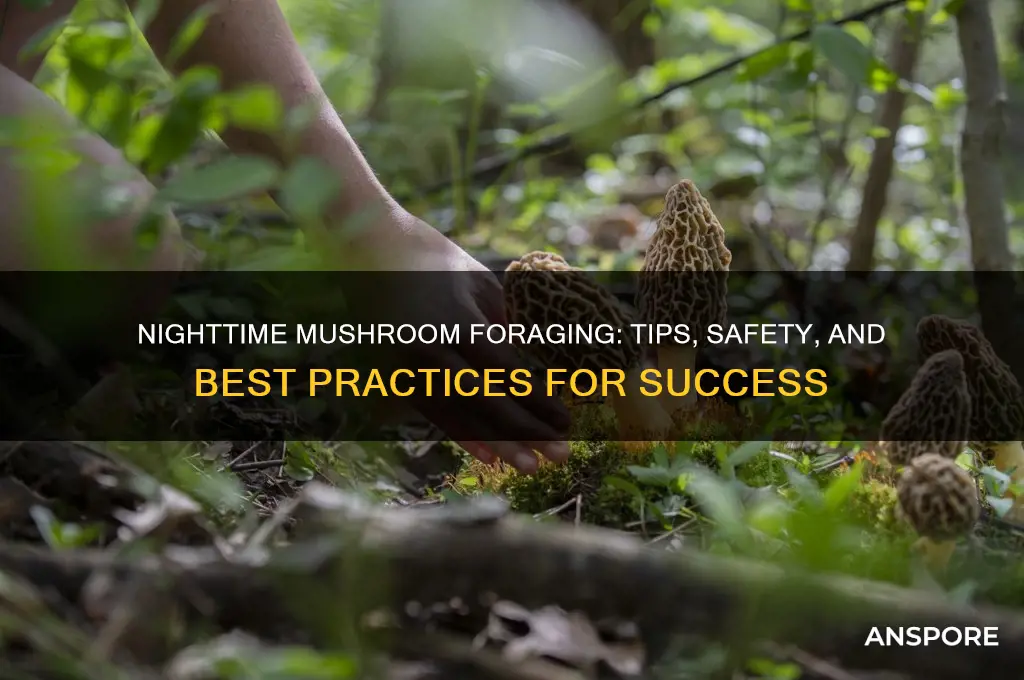 can you pick mushrooms at night