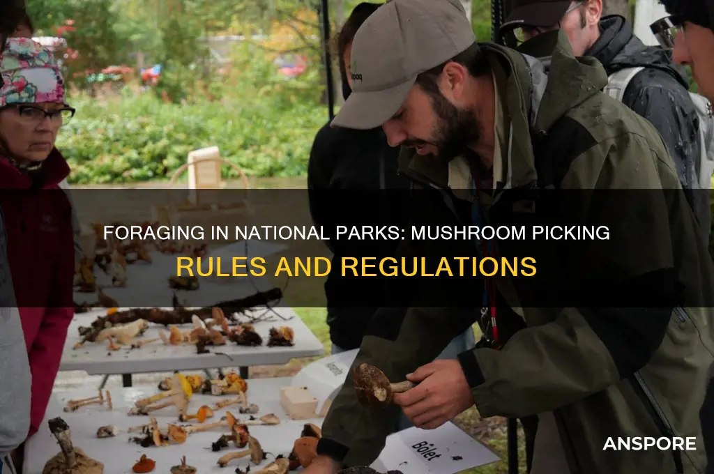 can you pick mushrooms in a national park