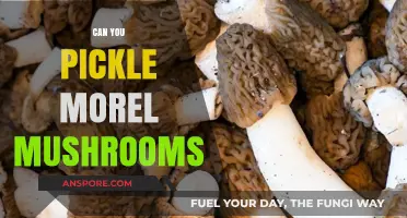 Pickling Morel Mushrooms: A Tasty Preservation Method or Not?