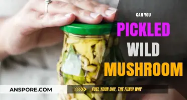 Pickling Wild Mushrooms: A Safe and Tasty Adventure or Risk?