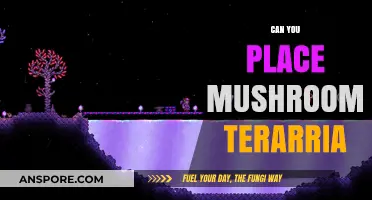 Can You Place Mushrooms in Terraria? A Complete Guide