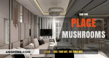 Where to Place Mushrooms: Creative Ideas for Your Home and Garden