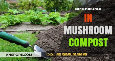 Planting in Mushroom Compost: Benefits, Tips, and Best Practices