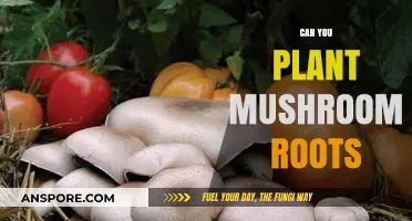 Planting Mushroom Roots: Myths, Facts, and Cultivation Tips
