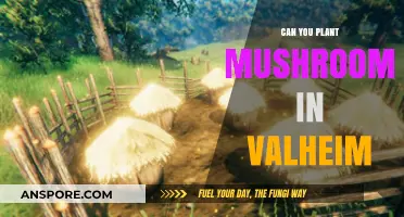 Growing Mushrooms in Valheim: A Beginner's Guide to Fungal Farming