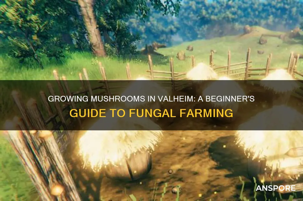 can you plant mushrooms in valheim