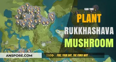 Planting Rukkhashava Mushrooms: A Comprehensive Guide for Gardeners
