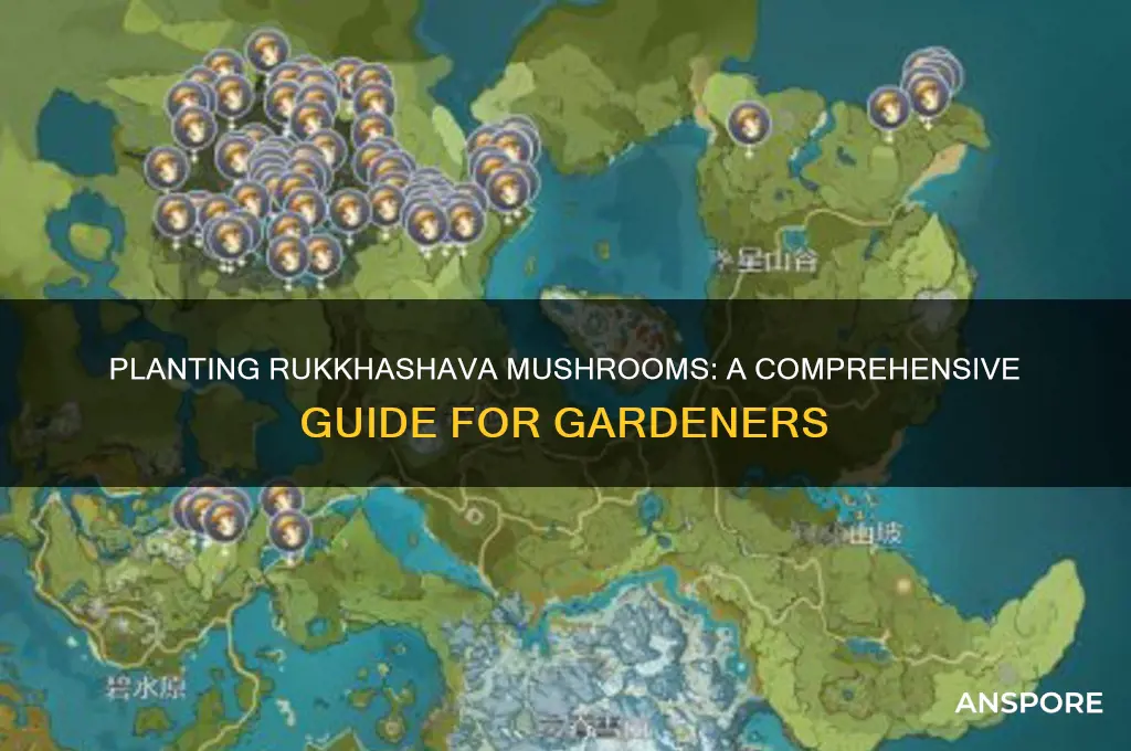 can you plant rukkhashava mushrooms