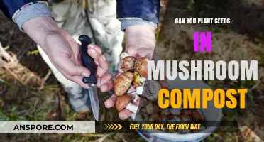 Planting Seeds in Mushroom Compost: Benefits, Tips, and Best Practices