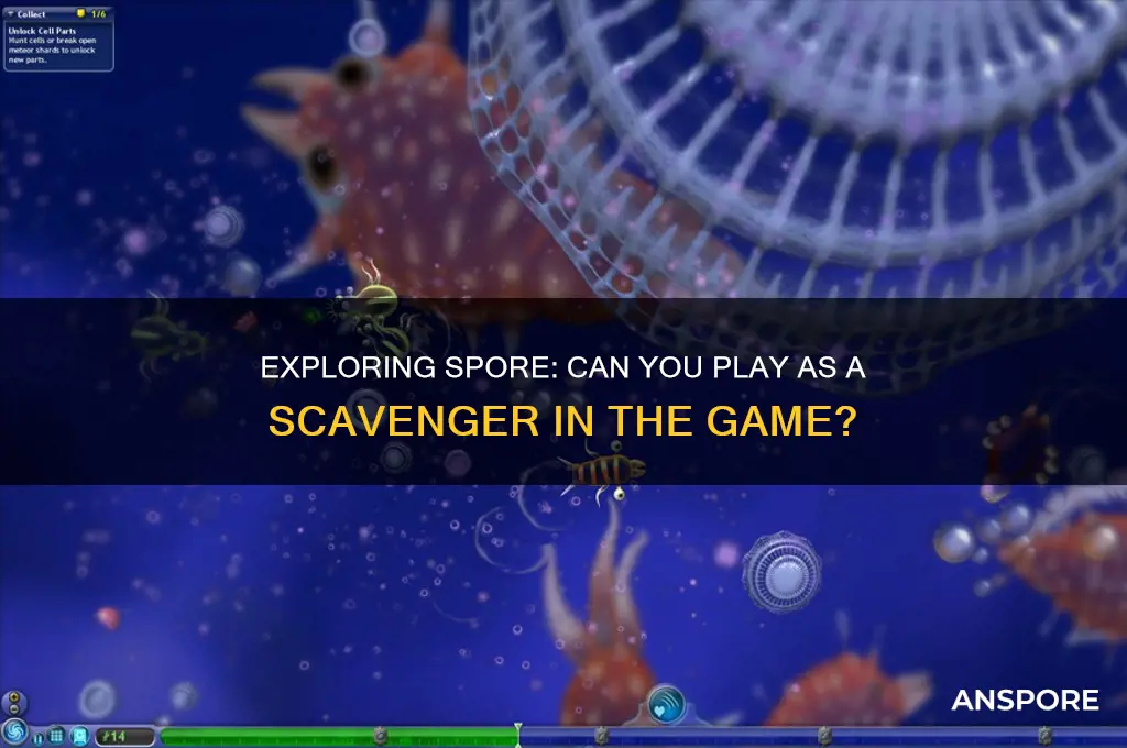 can you play a scavenger in spore