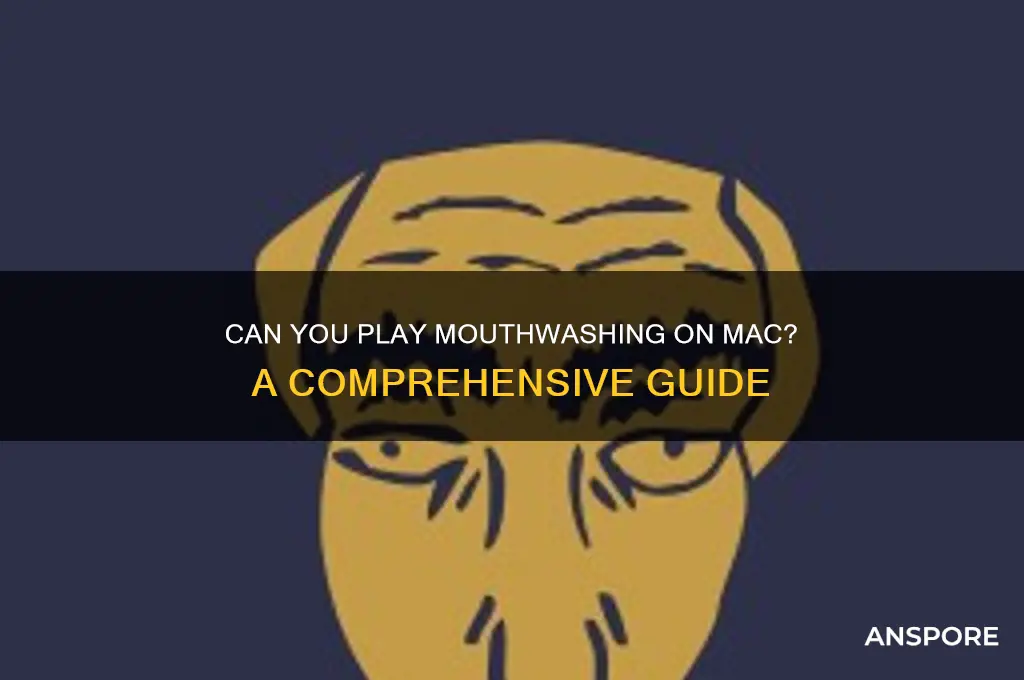 can you play mouthwashing on mac