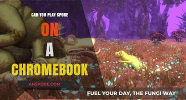 Can You Play Spore on a Chromebook? A Complete Guide