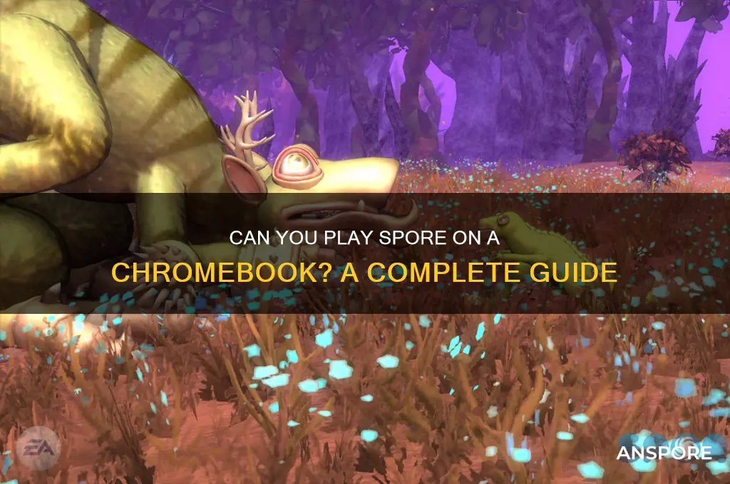 can you play spore on a chromebook