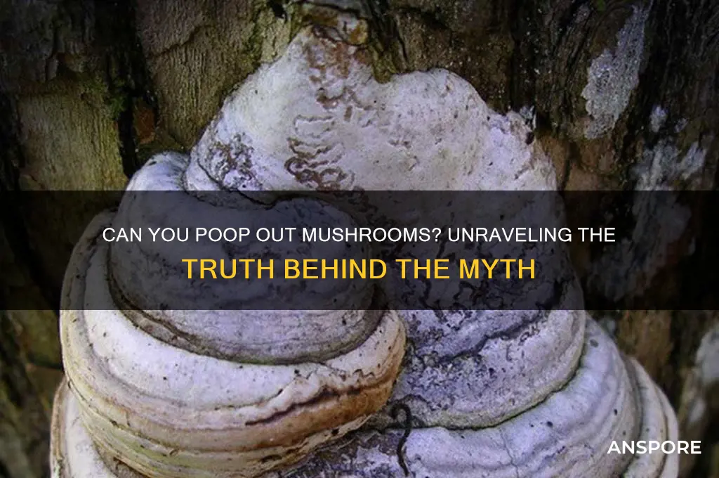can you poop out mushrooms