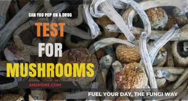 Do Mushrooms Show Up on Drug Tests? What You Need to Know