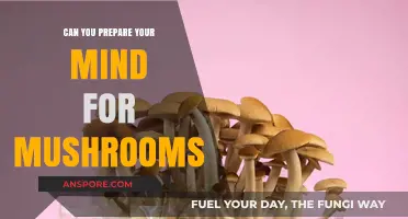 Preparing Your Mind for Mushrooms: A Guide to Mental Readiness