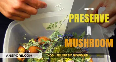 Preserving Mushrooms: Techniques for Long-Lasting Flavor and Freshness