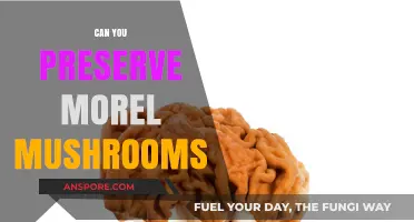 Preserving Morel Mushrooms: Tips for Long-Term Storage and Freshness