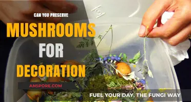 Preserving Mushrooms for Stunning, Long-Lasting Decorative Displays at Home