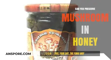 Preserving Mushrooms in Honey: A Sweet, Natural Storage Method