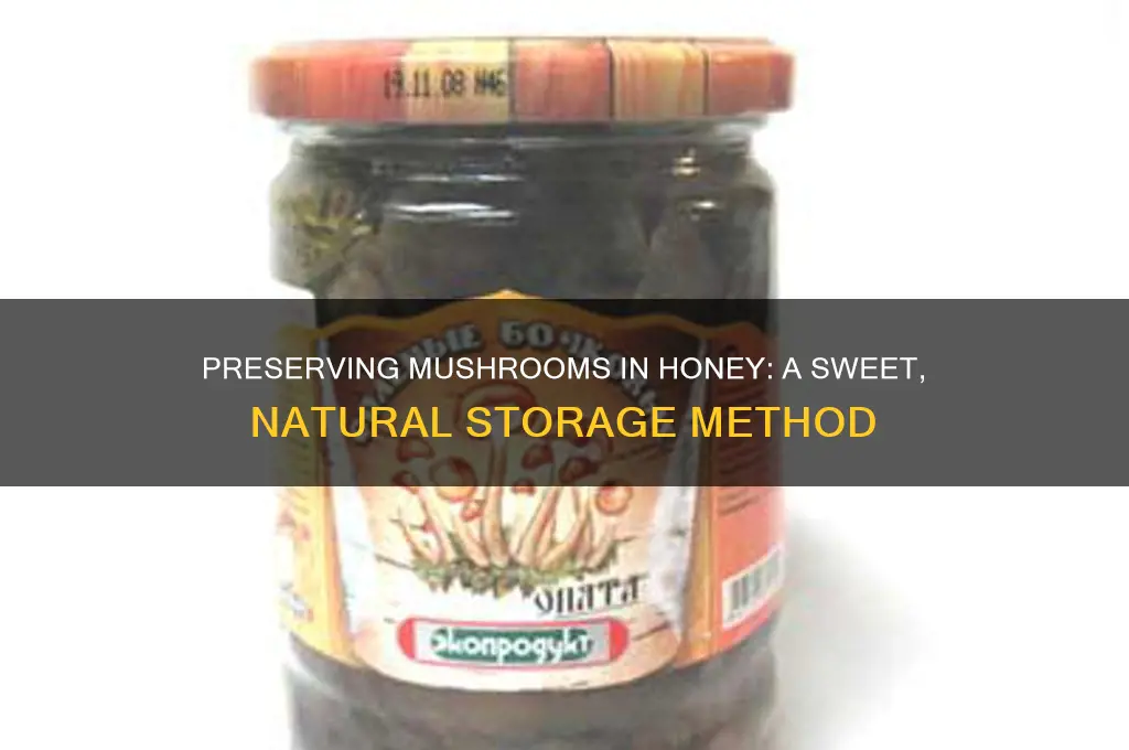can you preserve mushrooms in honey