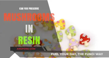 Preserving Mushrooms in Resin: A Creative and Durable Crafting Guide