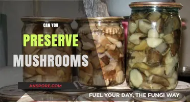 Preserving Mushrooms: Best Methods for Long-Lasting Freshness and Flavor