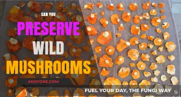Preserving Wild Mushrooms: Tips for Safe Storage and Longevity
