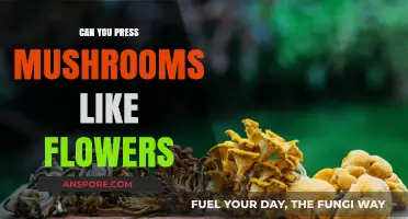 Pressing Mushrooms: Techniques for Preserving Fungi Like Flowers