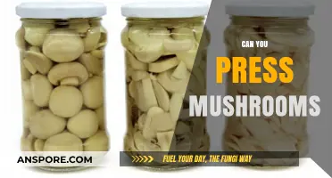 Can You Press Mushrooms? Exploring Preservation Techniques for Fungi