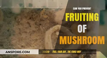 Preventing Mushroom Fruiting: Effective Strategies for Gardeners and Growers