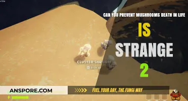 Preventing Mushroom Death in Life is Strange 2: A Guide