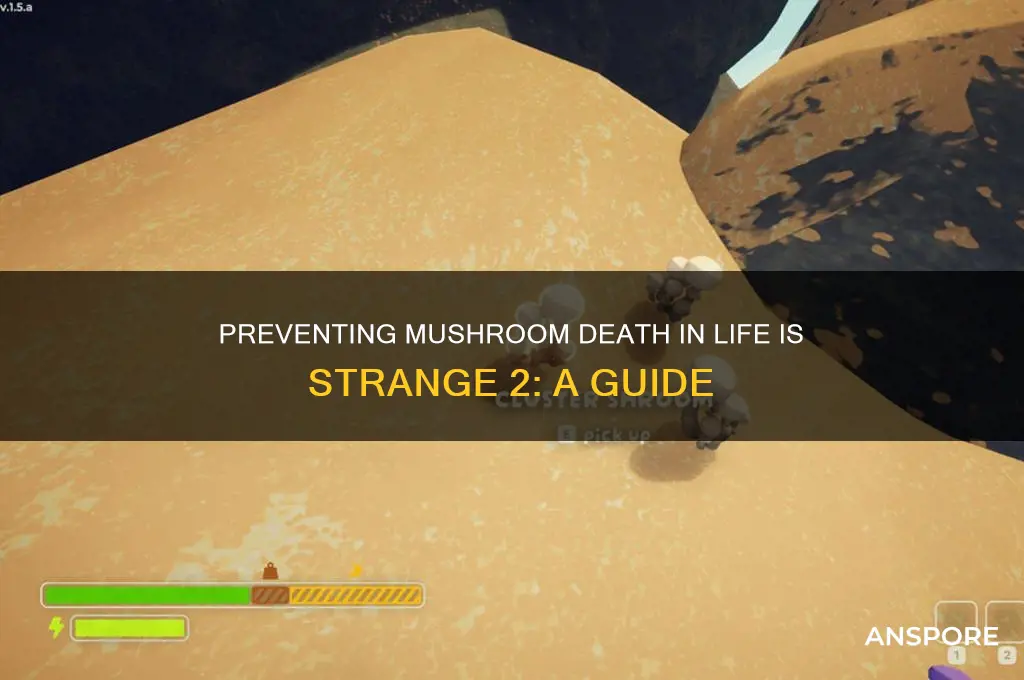 can you prevent mushrooms death in life is strange 2