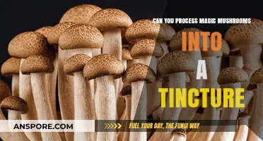 Crafting Magic Mushroom Tinctures: A Guide to Extraction and Use