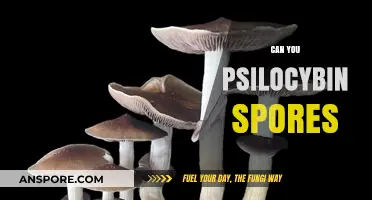 Exploring Psilocybin Spores: Legality, Cultivation, and Safety Considerations