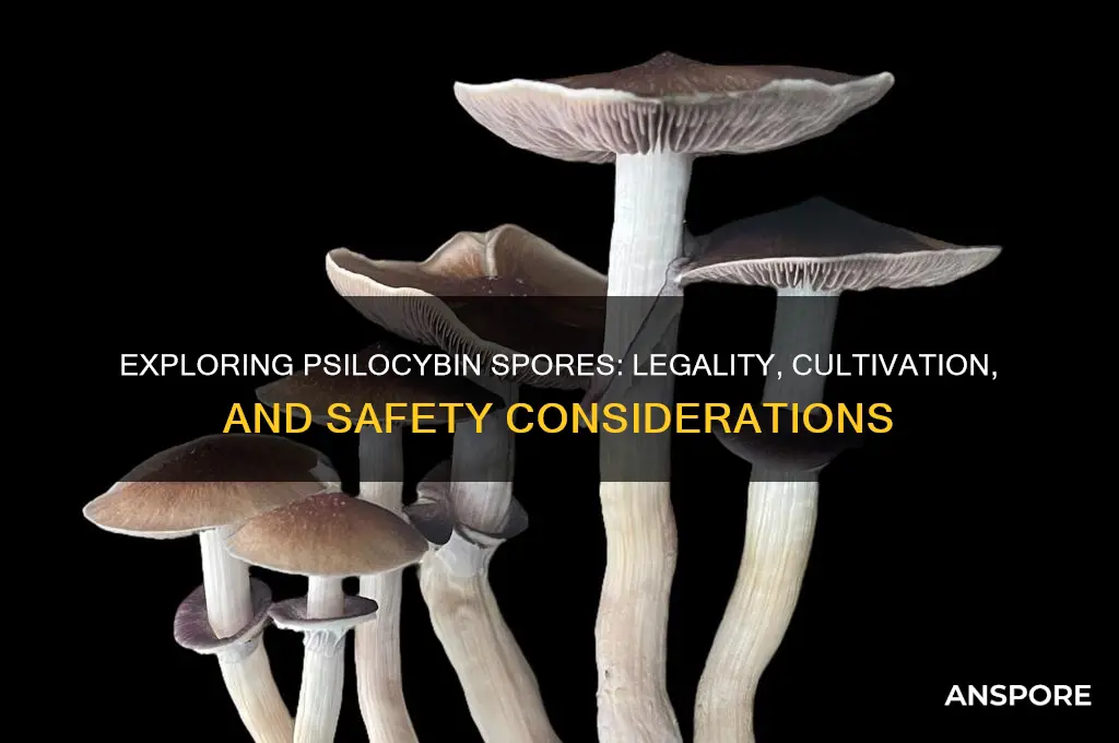 can you psilocybin spores