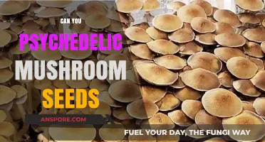Exploring the Legality and Cultivation of Psychedelic Mushroom Spores