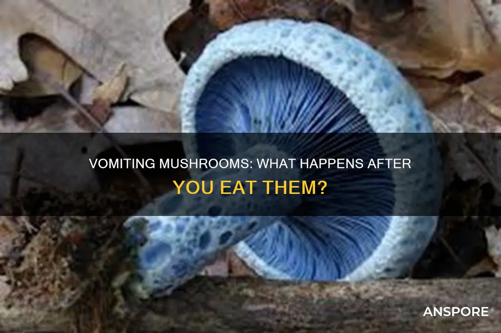 can you puke mushrooms up after you eat them