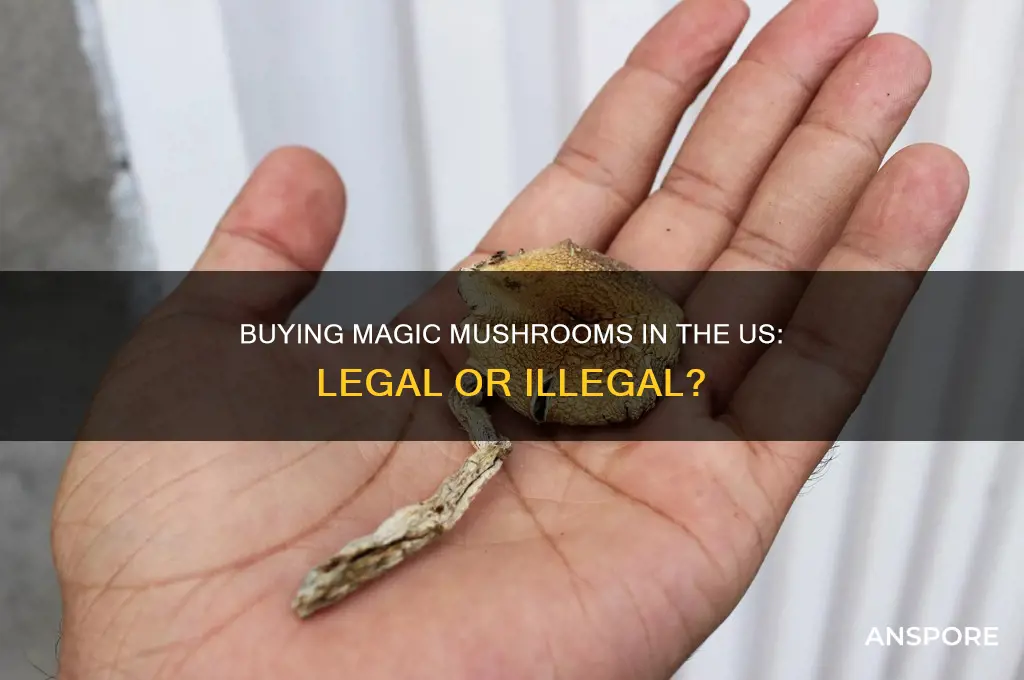 can you purchase magic mushrooms in us