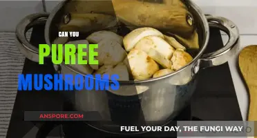 Can You Puree Mushrooms? A Simple Guide to Smooth Mushroom Puree