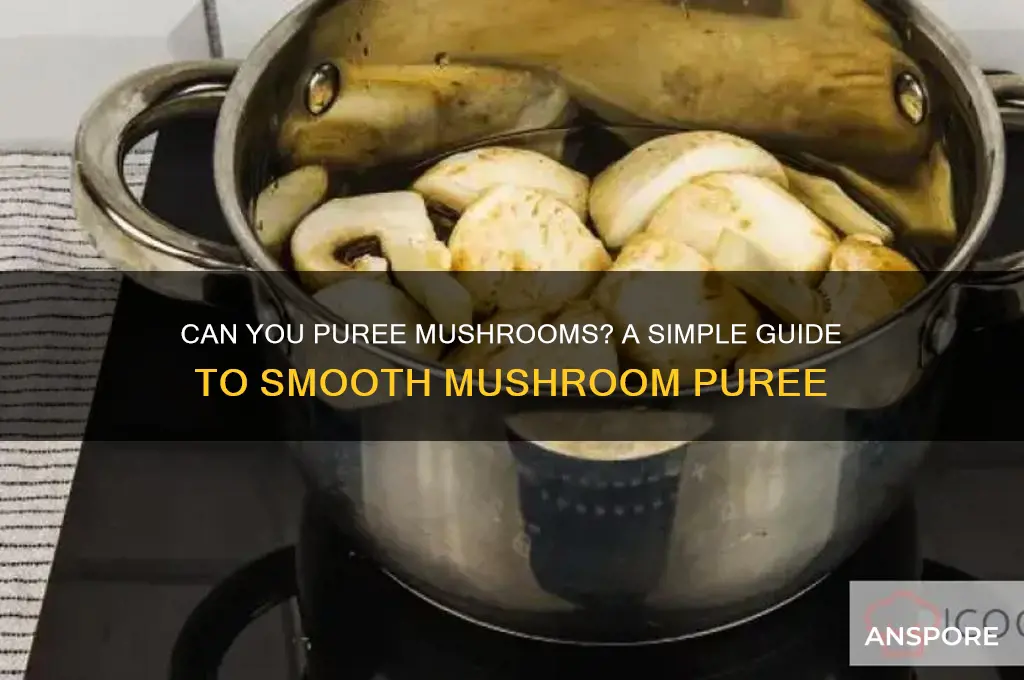 can you puree mushrooms