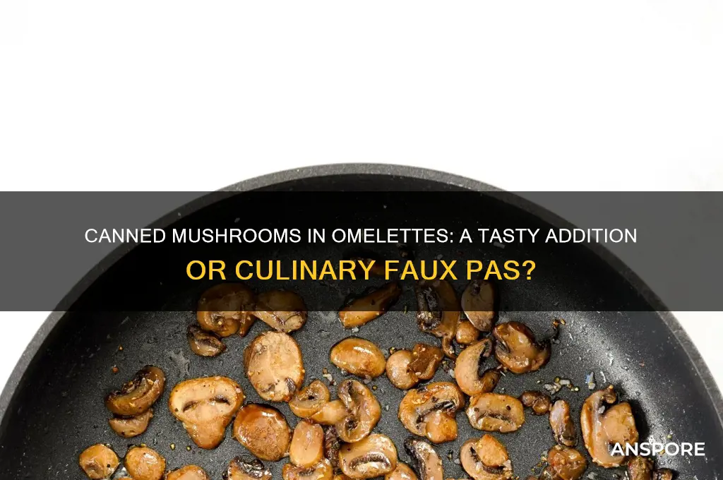 can you put canned mushrooms in an omelete
